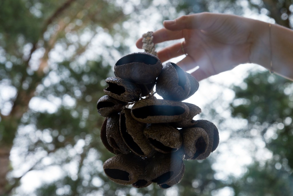 YOGA SOUNDHEALING MUSIC SCIENCE KAPIEL W DZWIKACH TERAPIA DZWIEKIEM HATHA YOGA JOGA BARABRA DUDKO QUANTUM PHYSIC, VIBRATION, SOUNDWAVE SOUNDBATH, TIBETAN BOWLS GONG